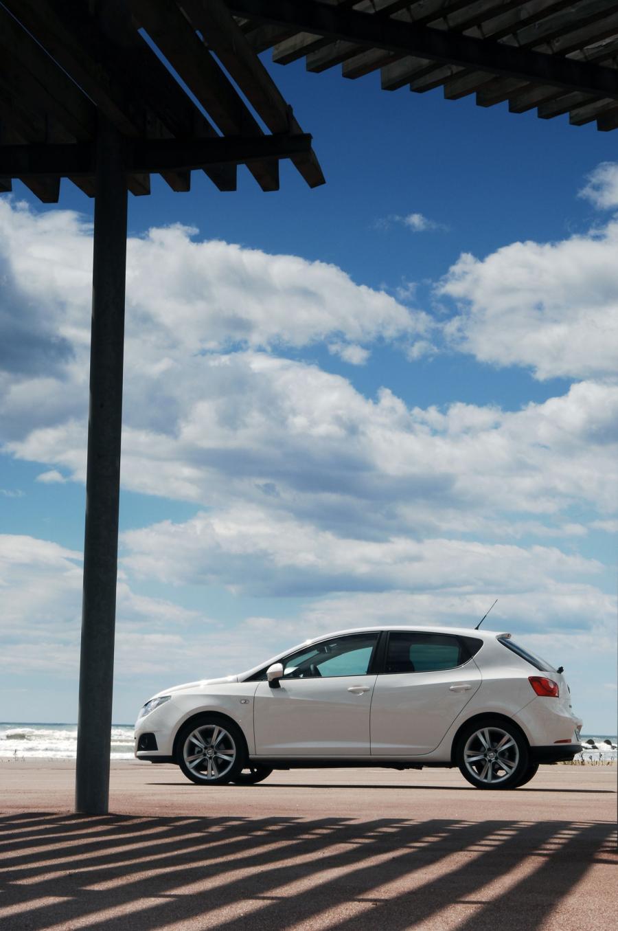  Seat Ibiza 2008 года  (фото 243 из 287)